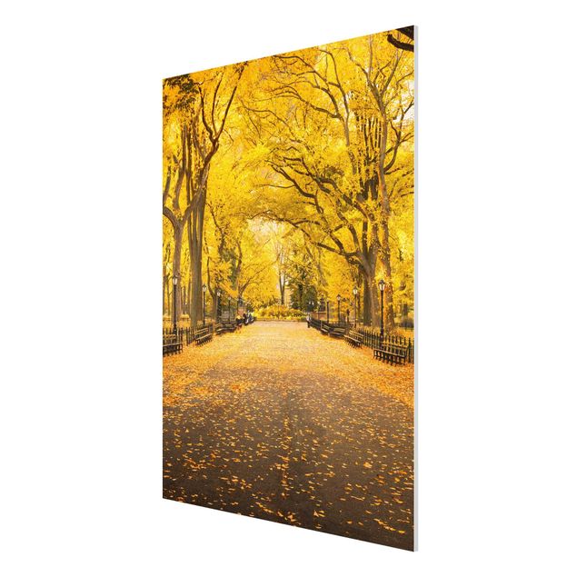 Forex Fine Art Print - Herbst im Central Park - Hochformat 3:4