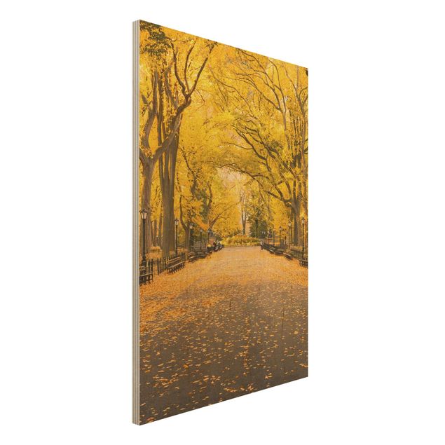 Holzbilder modern Herbst im Central Park