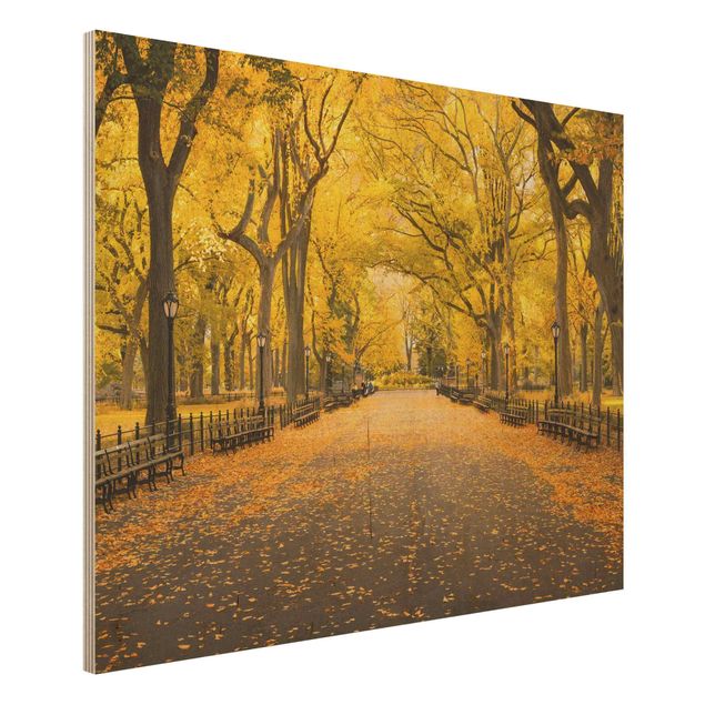 Holzbild - Herbst im Central Park - Querformat