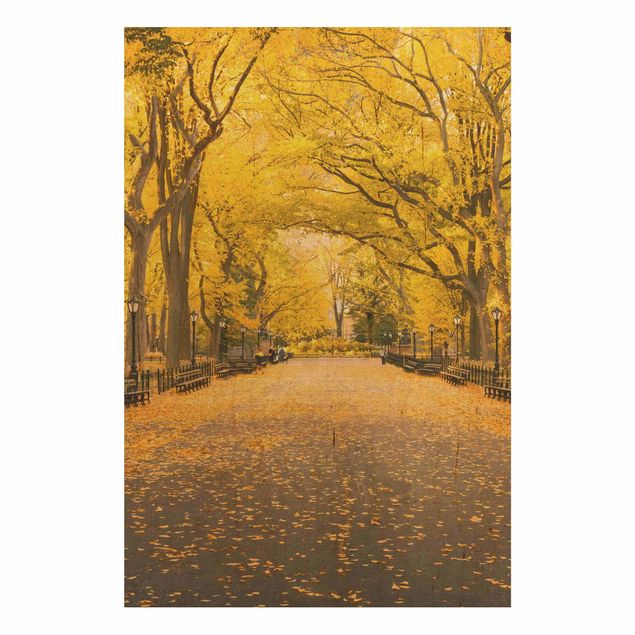 Holzbild Skyline Herbst im Central Park