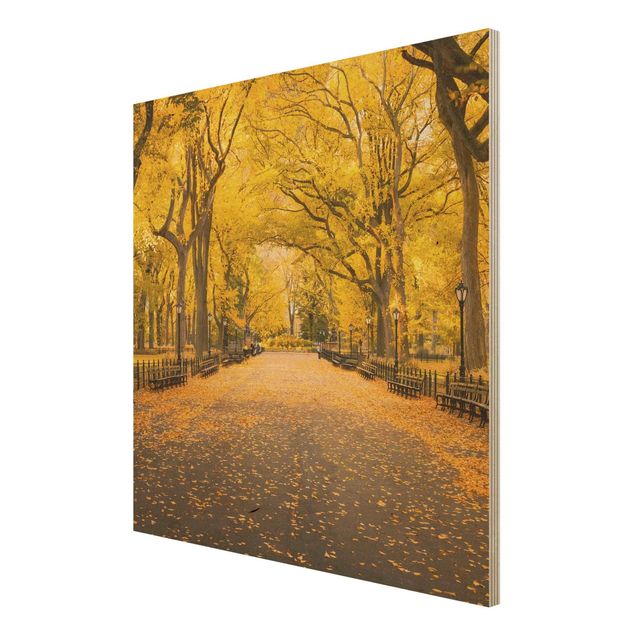 Holzbild - Herbst im Central Park - Quadrat