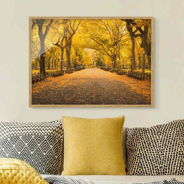 Bilder für die Wand Herbst im Central Park