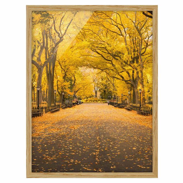 Bild mit Rahmen - Herbst im Central Park - Hochformat