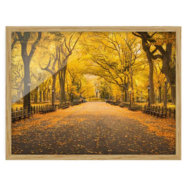 Bild mit Rahmen - Herbst im Central Park - Querformat