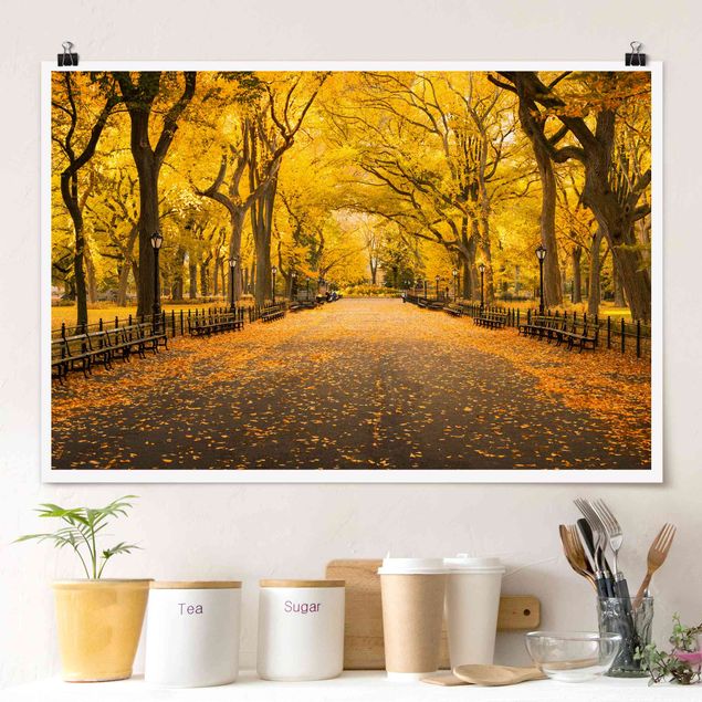 Poster Städte Herbst im Central Park