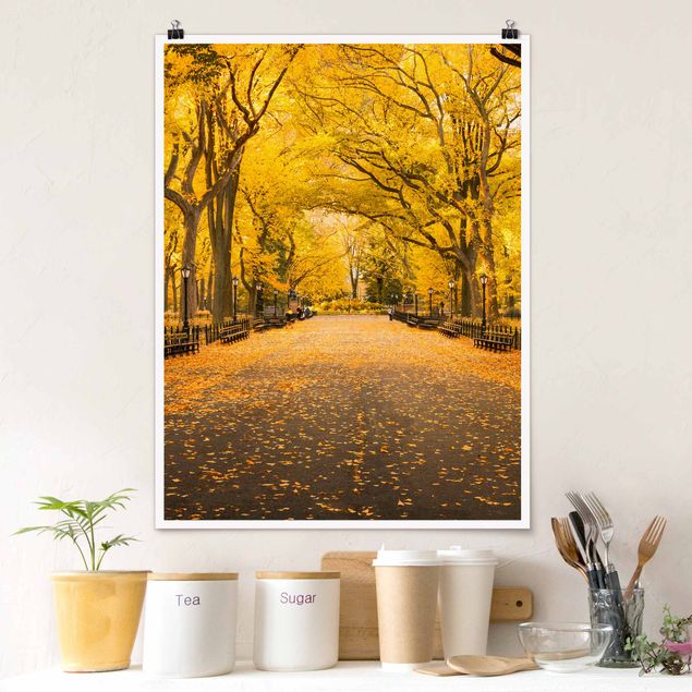 Städte Poster Herbst im Central Park