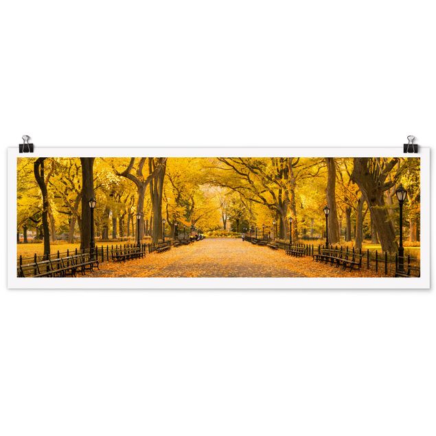Poster - Herbst im Central Park - Panorama 3:1