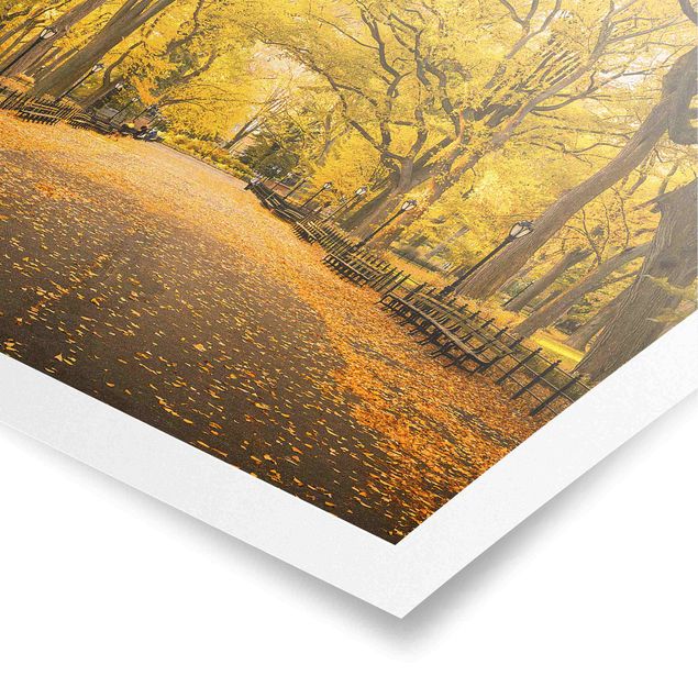 Poster - Herbst im Central Park - Querformat 3:2