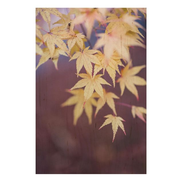Moderne Holzbilder Herbstlicher Ahorn