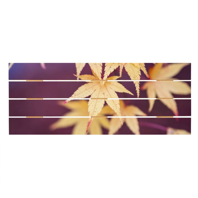 Holzbild - Herbstlicher Ahorn - Panorama