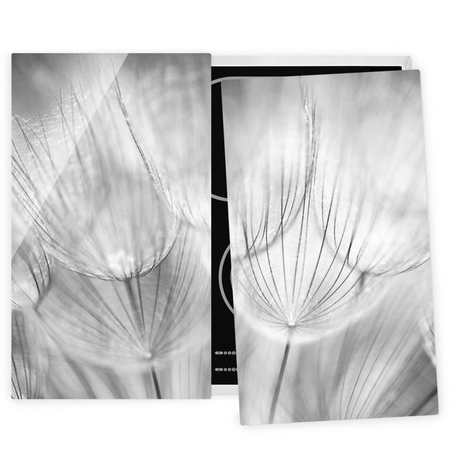 Glas Herdabdeckplatten Pusteblumen Makroaufnahme in schwarz weiß