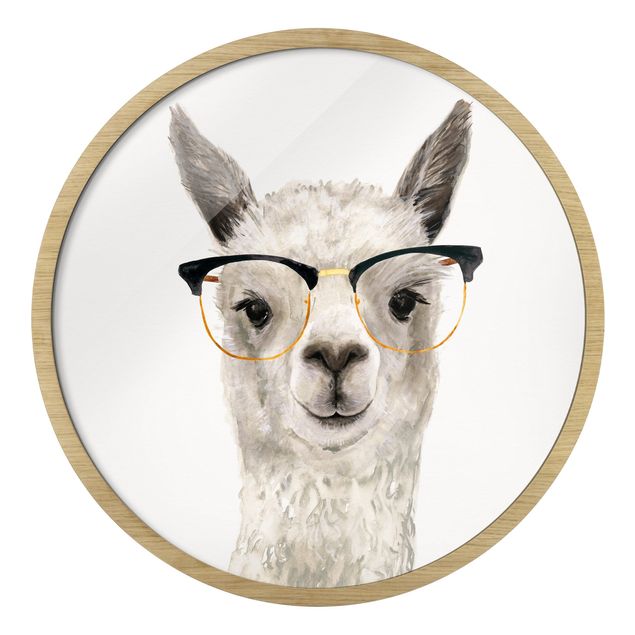 Wandbilder mit Rahmen Hippes Lama mit Brille I