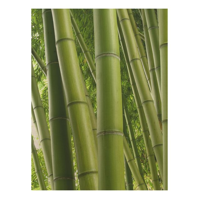 Holzbild Natur Bamboo Trees No.1