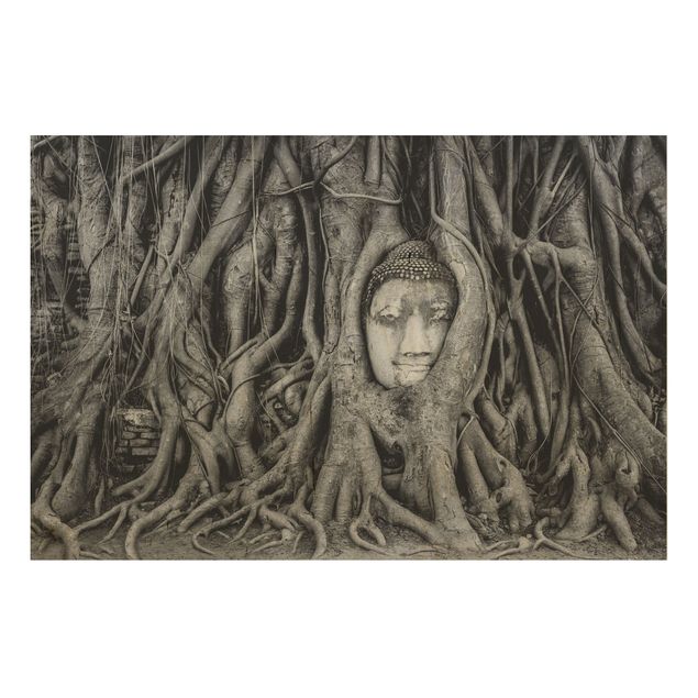 Moderne Holzbilder Buddha in Ayutthaya von Baumwurzeln gesäumt in Schwarzweiß