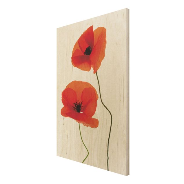 Moderne Holzbilder Charming Poppies