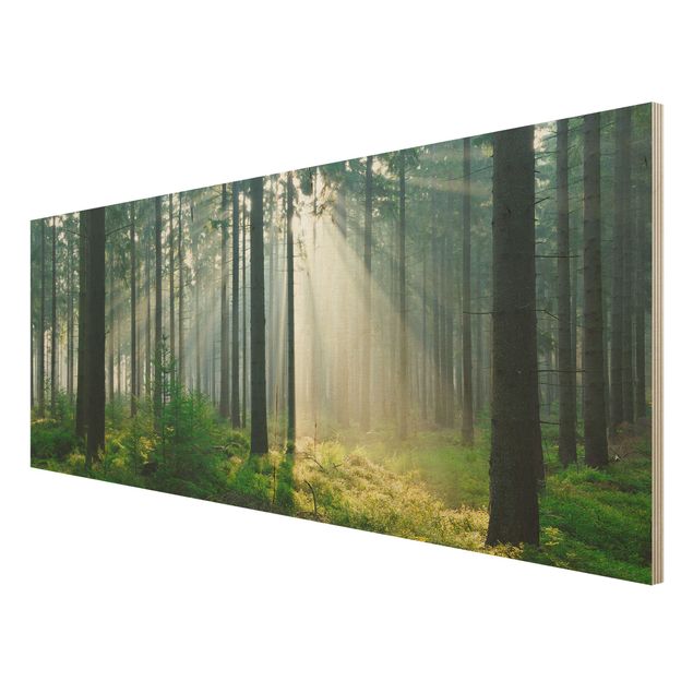 Moderne Holzbilder Enlightened Forest