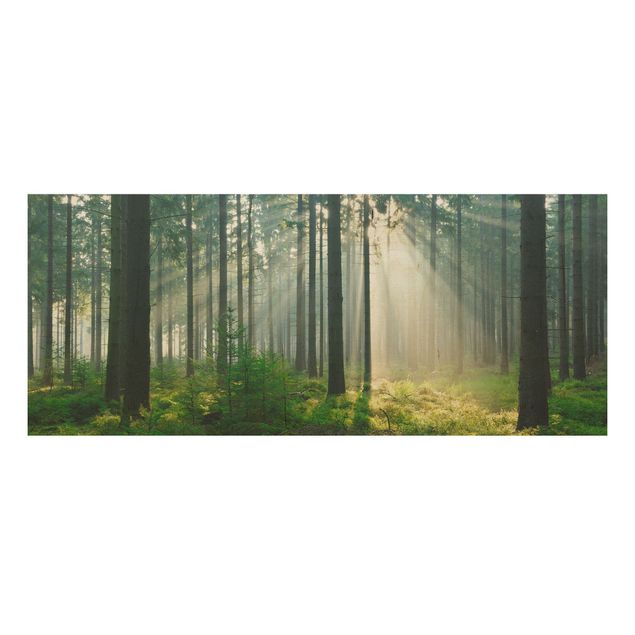 Holzbild Natur Enlightened Forest