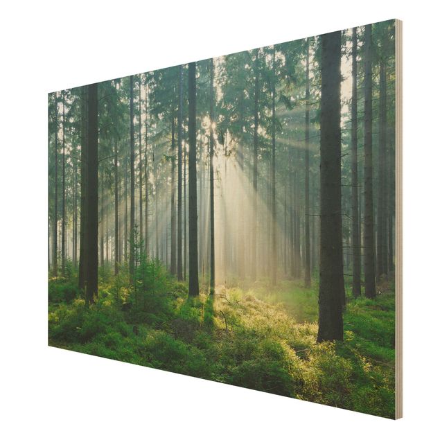Holzbilder modern Enlightened Forest