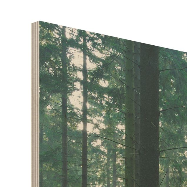 Holz Wandbild - Enlightened Forest - Quer 3:2
