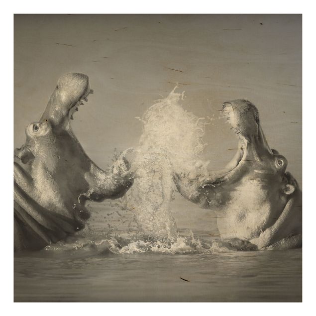 Moderne Holzbilder Hippo Fight