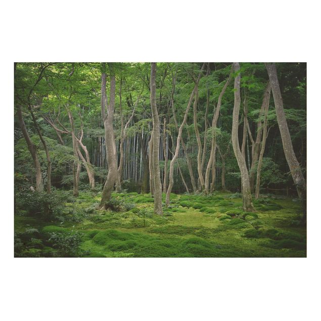 Holzbild Natur Japanischer Wald
