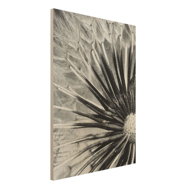 Wandbild Holz Vintage Pusteblume Schwarz & Weiß