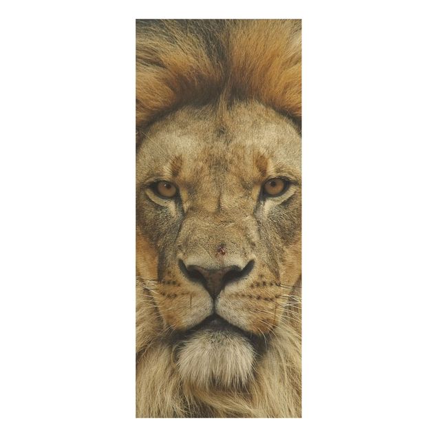 Holzbilder Wisdom of Lion