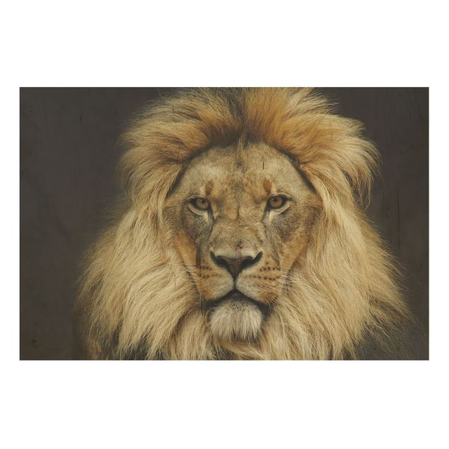 Bilder auf Holz Wisdom of Lion