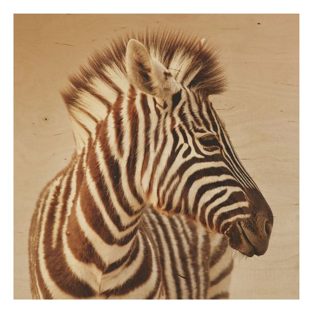 Holzbilder Zebra Baby Portrait