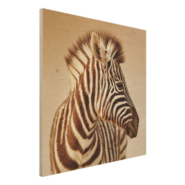 Moderne Holzbilder Zebra Baby Portrait