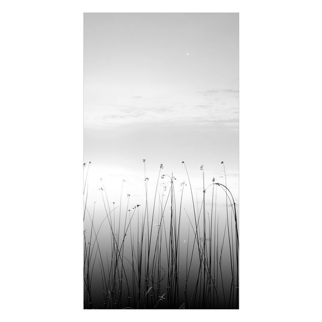 Duschrückwand - Idylle am See Schwarz-Weiß