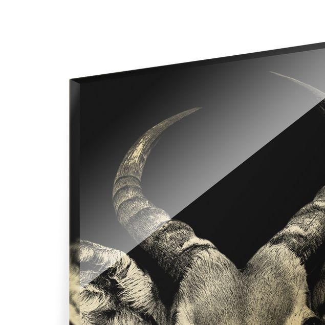 Schöne Wandbilder Impala Antilope schwarz-weiß