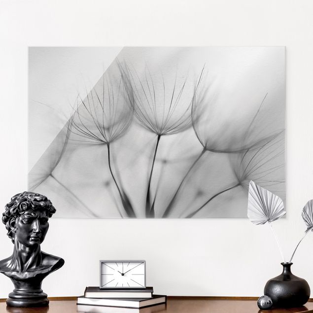 Glasbild Löwenzahn In einer Pusteblume Schwarz-Weiß