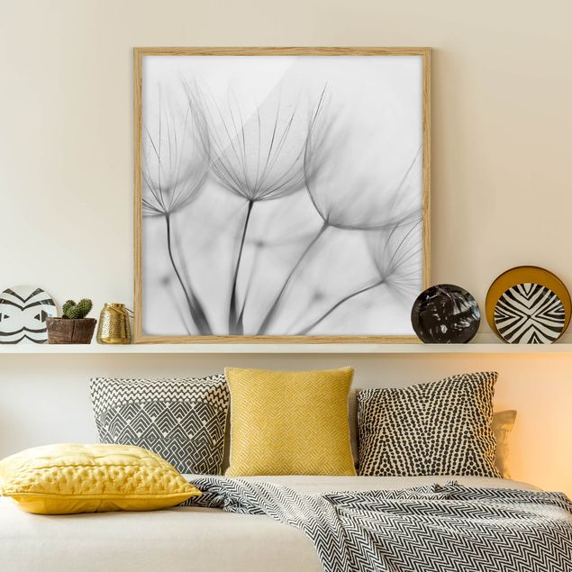 Wandbilder In einer Pusteblume Schwarz-Weiß