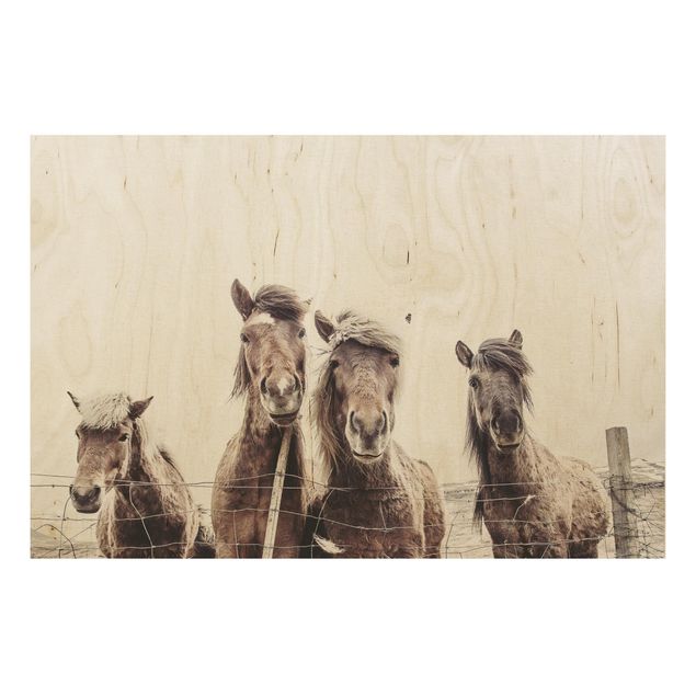 Bilder auf Holz Island Pferde