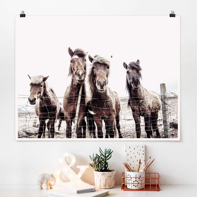 Wandbilder Tiere Island Pferde