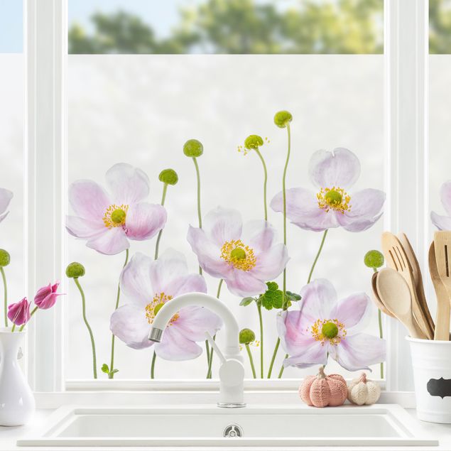 Blumen Fensterbilder Japanische Anemonen