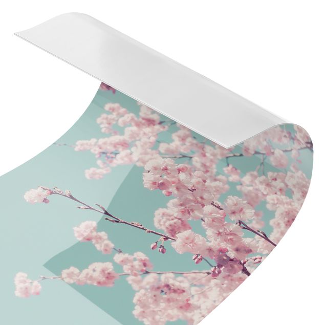 Duschrückwand - Japanische Kirschblüte