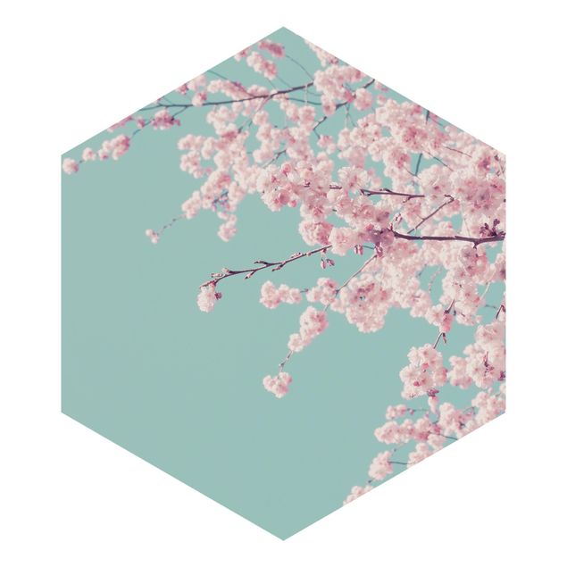 Fototapeten Japanische Kirschblüte