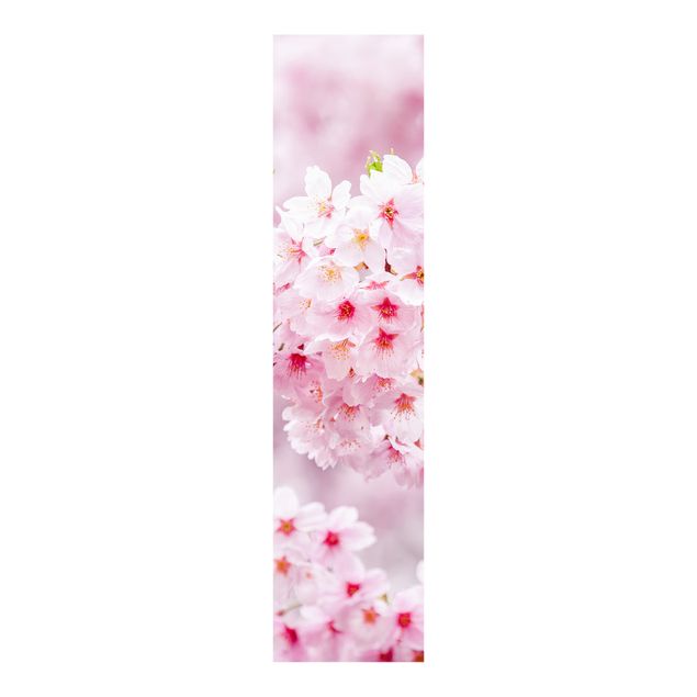Schiebegardinen mit Motiv 3-teilig Japanische Kirschblüte