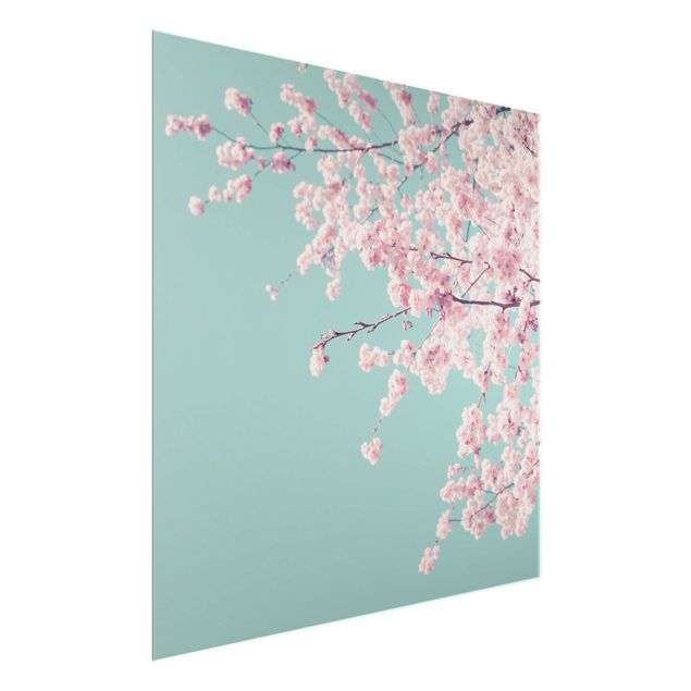 Glasbilder Blumen Japanische Kirschblüte