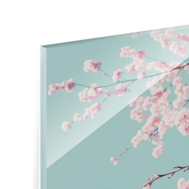 Glasbild - Japanische Kirschblüte - Quadrat 1:1