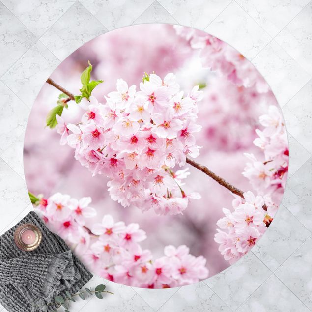 Teppiche Japanische Kirschblüten