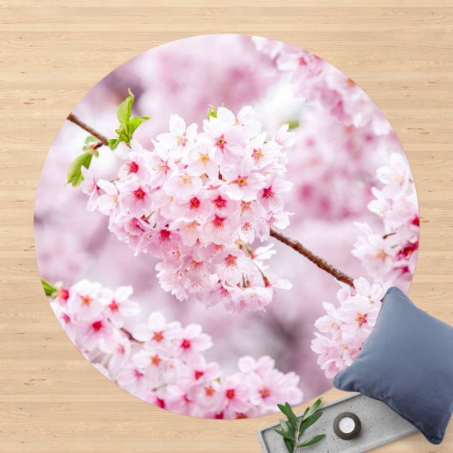 outdoor-teppich wetterfest Japanische Kirschblüten