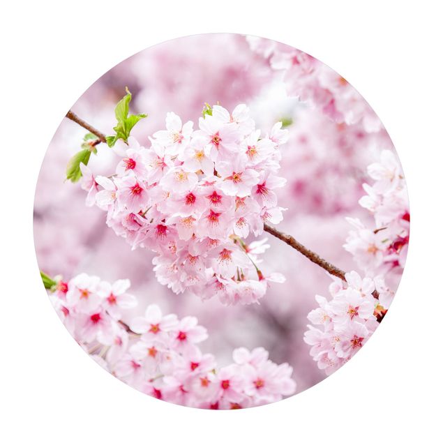 Teppich Natur Japanische Kirschblüten