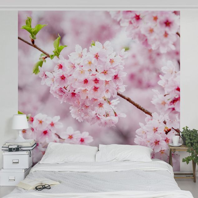 Fototapete - Japanische Kirschblüten