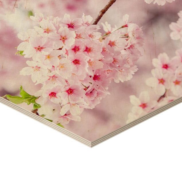 Japanische Kirschblüten Holz Hexagon Bild | Bilderwelten