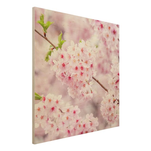 Holzbilder mit Blumen Japanische Kirschblüten