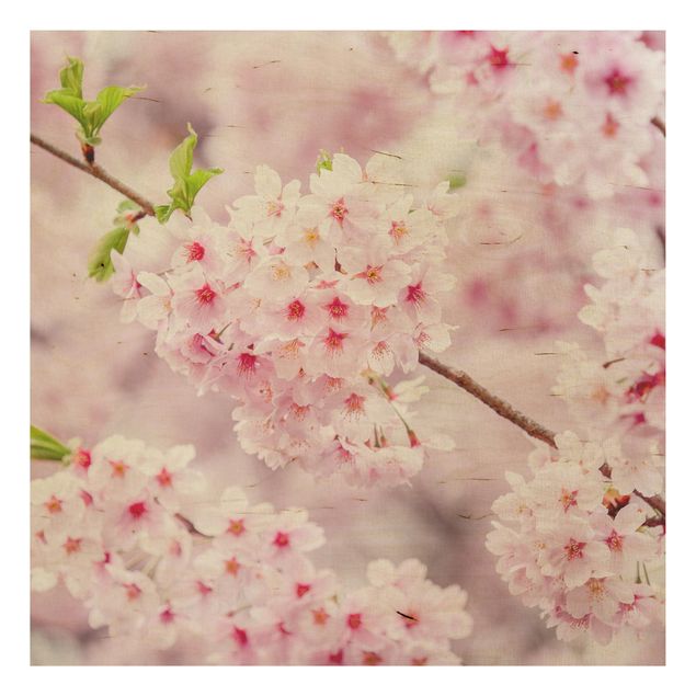 Moderne Holzbilder Japanische Kirschblüten