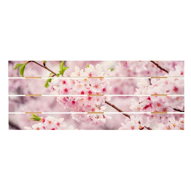 Holzbild - Japanische Kirschblüten - Panorama